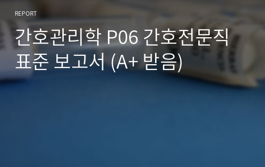 간호관리학 P06 간호전문직 표준 보고서 (A+ 받음)