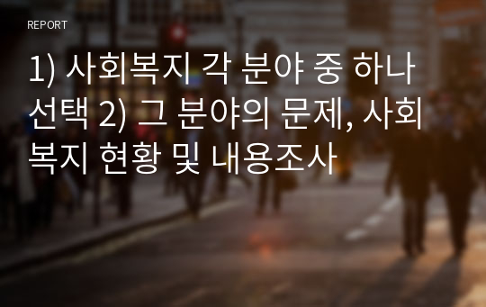 1) 사회복지 각 분야 중 하나 선택 2) 그 분야의 문제, 사회복지 현황 및 내용조사