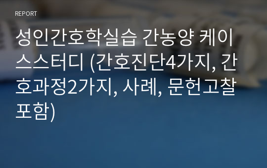 성인간호학실습 간농양 케이스스터디 (간호진단4가지, 간호과정2가지, 사례, 문헌고찰포함)