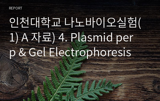 인천대학교 나노바이오실험(1) A 자료) 4. Plasmid perp &amp; Gel Electrophoresis