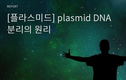 [플라스미드] plasmid DNA분리의 원리