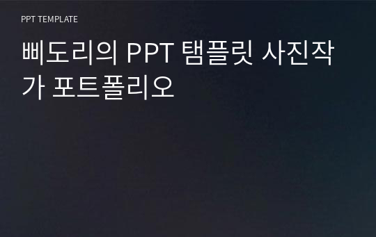 삐도리의 PPT 탬플릿 사진작가 포트폴리오