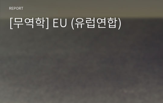 [무역학] EU (유럽연합)