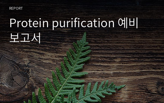 Protein purification 예비보고서