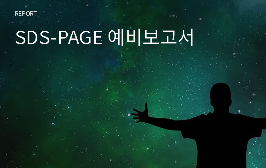 SDS-PAGE 예비보고서