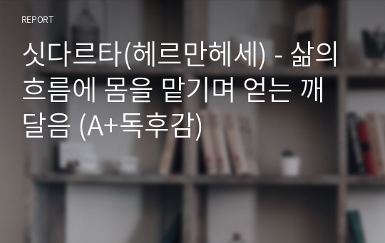 싯다르타(헤르만헤세) - 삶의 흐름에 몸을 맡기며 얻는 깨달음 (A+독후감)