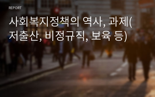 사회복지정책의 역사, 과제(저출산, 비정규직, 보육 등)