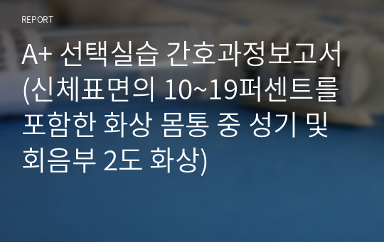 A+ 선택실습 간호과정보고서(신체표면의 10~19퍼센트를 포함한 화상 몸통 중 성기 및 회음부 2도 화상)