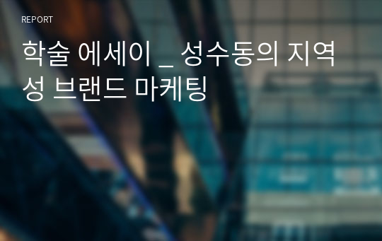 학술 에세이 _ 성수동의 지역성 브랜드 마케팅