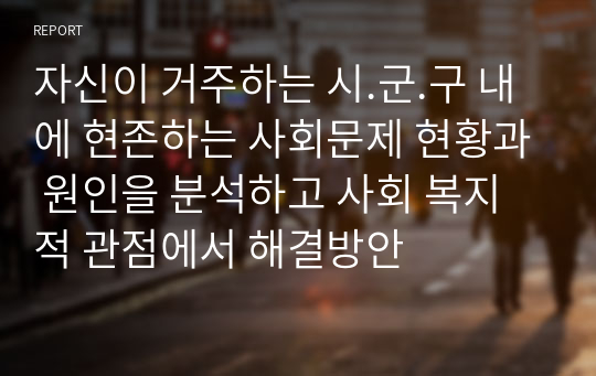 자신이 거주하는 시.군.구 내에 현존하는 사회문제 현황과 원인을 분석하고 사회 복지적 관점에서 해결방안