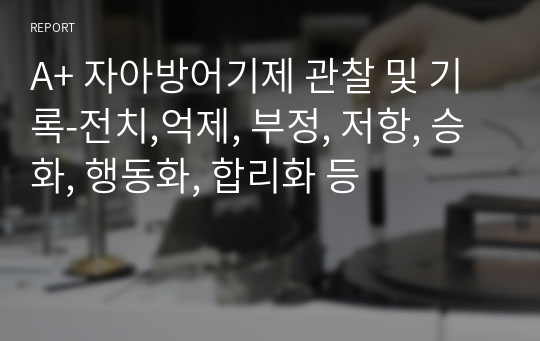 A+ 자아방어기제 관찰 및 기록-전치,억제, 부정, 저항, 승화, 행동화, 합리화 등