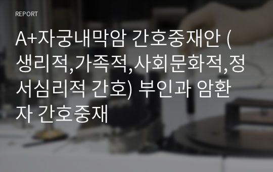 A+자궁내막암 간호중재안 (생리적,가족적,사회문화적,정서심리적 간호) 부인과 암환자 간호중재