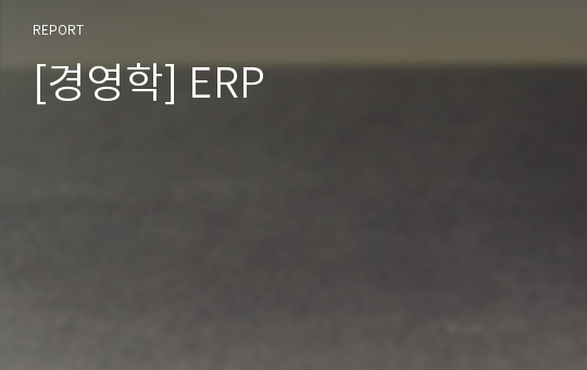 [경영학] ERP