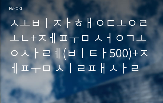 소비자행동론+제품 성공사례(비타500)+제품 실패사례(시리얼 메이츠)