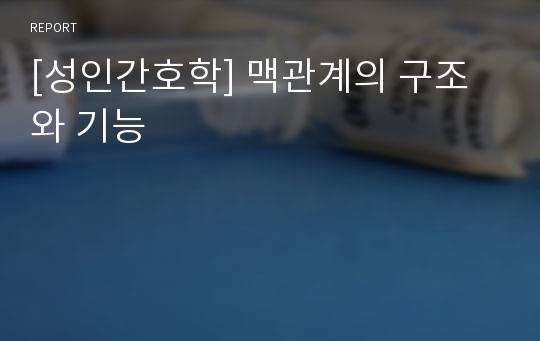 [성인간호학] 맥관계의 구조와 기능