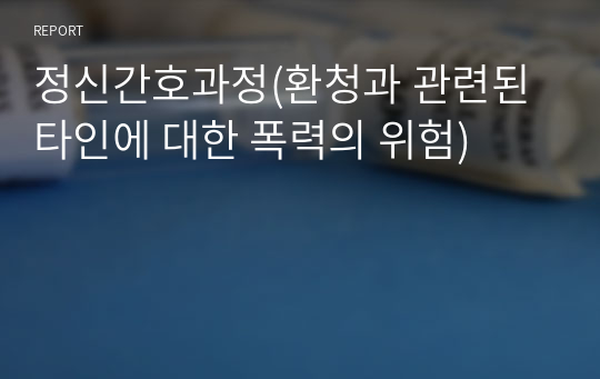 정신간호과정(환청과 관련된 타인에 대한 폭력의 위험)