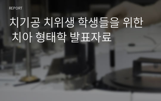 치기공 치위생 학생들을 위한 치아 형태학 발표자료