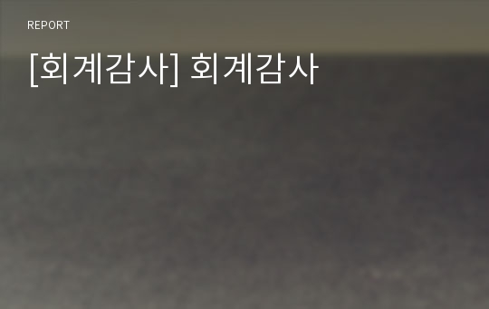 [회계감사] 회계감사