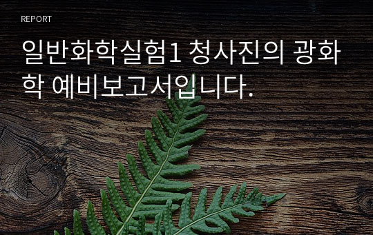 일반화학실험1 청사진의 광화학 예비보고서입니다.