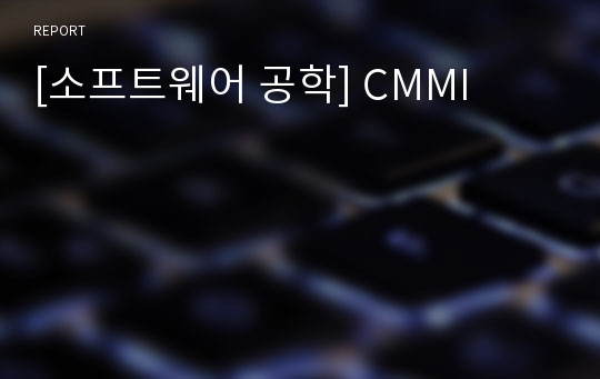 [소프트웨어 공학] CMMI