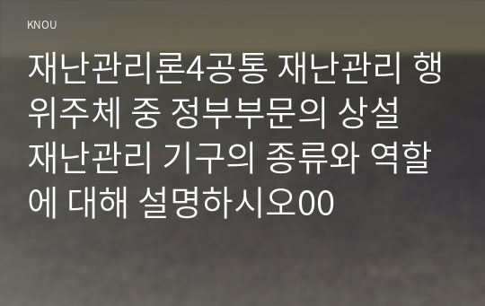 재난관리론4공통 재난관리 행위주체 중 정부부문의 상설 재난관리 기구의 종류와 역할에 대해 설명하시오00