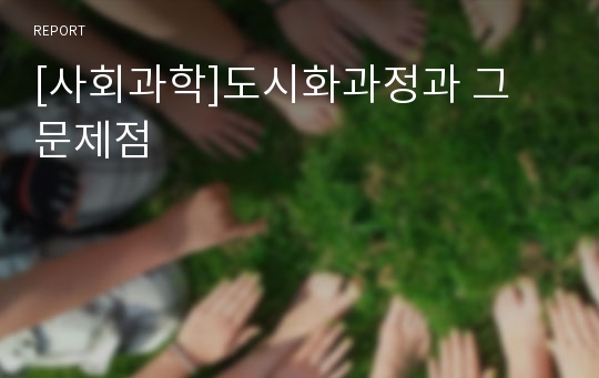 [사회과학]도시화과정과 그 문제점