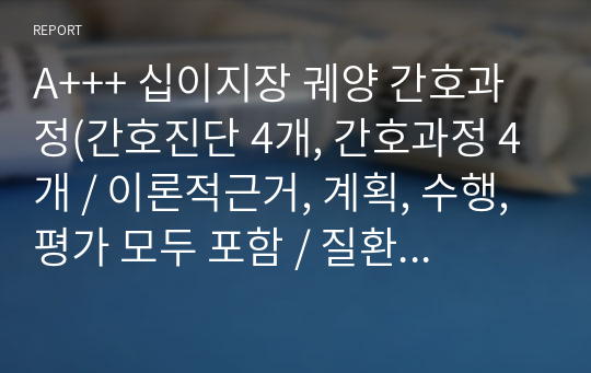 A+++ 십이지장 궤양 간호과정(간호진단 4개, 간호과정 4개 / 이론적근거, 계획, 수행, 평가 모두 포함 / 질환탐구 자세히 기재)