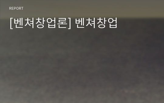 [벤쳐창업론] 벤쳐창업