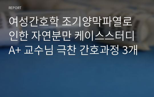 여성간호학 조기양막파열로 인한 자연분만 케이스스터디 A+ 교수님 극찬 간호과정 3개