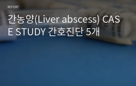 간농양(Liver abscess) CASE STUDY 간호진단 5개