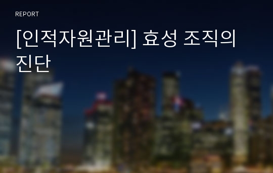 [인적자원관리] 효성 조직의 진단