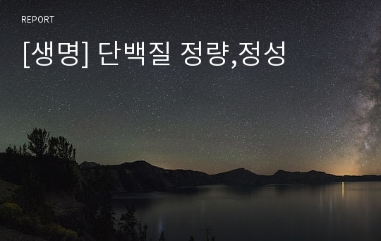 [생명] 단백질 정량,정성