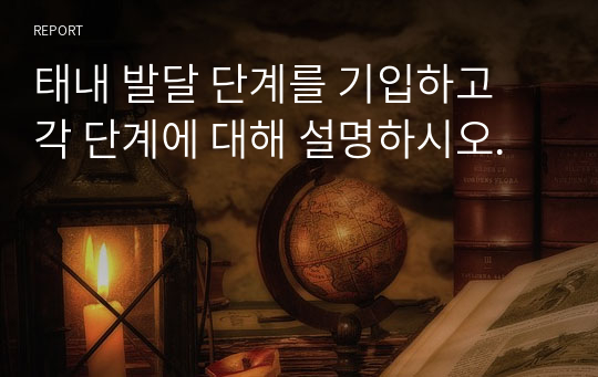 태내 발달 단계를 기입하고 각 단계에 대해 설명하시오.