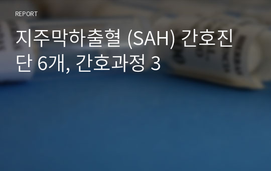 지주막하출혈 (SAH) 간호진단 6개, 간호과정 3