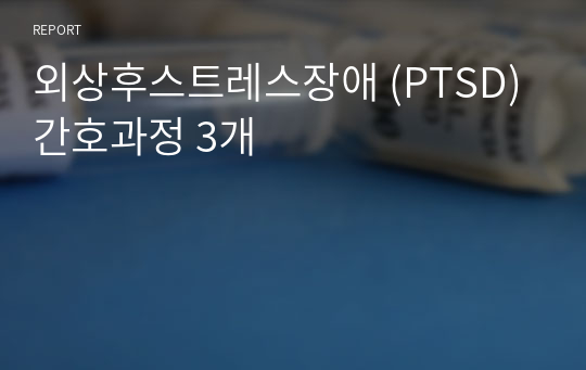 외상후스트레스장애 (PTSD) 간호과정 3개