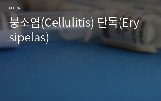 붕소염(Cellulitis) 단독(Erysipelas)