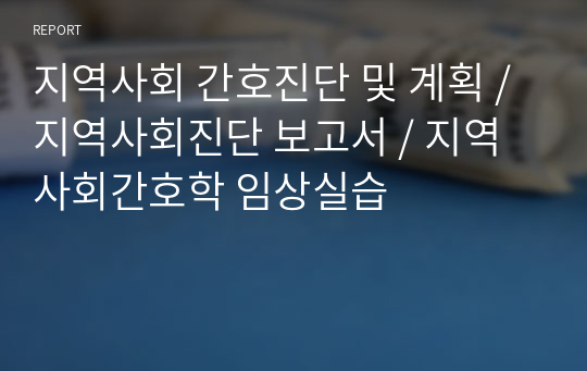 지역사회 간호진단 및 계획 / 지역사회진단 보고서 / 지역사회간호학 임상실습