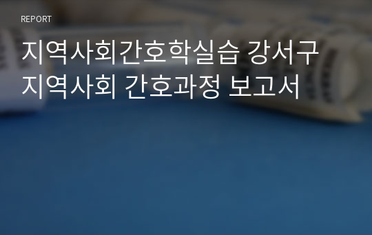 지역사회간호학실습 강서구 지역사회 간호과정 보고서