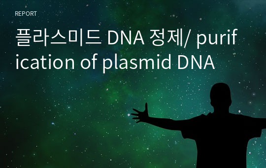 플라스미드 DNA 정제/ purification of plasmid DNA
