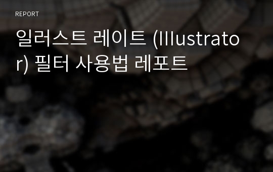 일러스트 레이트 (IIIustrator) 필터 사용법 레포트