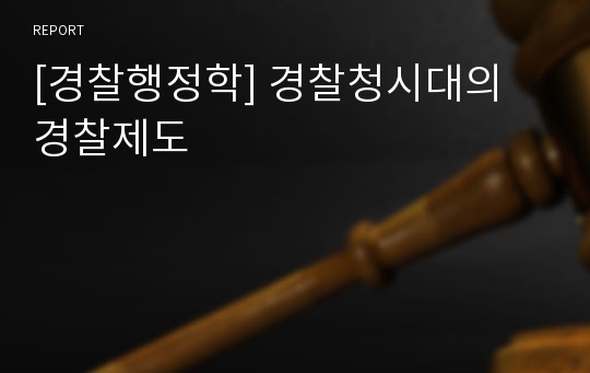 [경찰행정학] 경찰청시대의 경찰제도