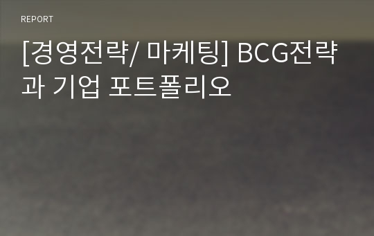 [경영전략/ 마케팅] BCG전략과 기업 포트폴리오