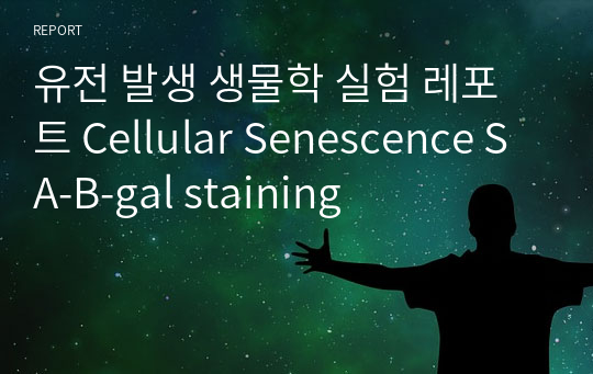 유전 발생 생물학 실험 레포트 Cellular Senescence SA-B-gal staining