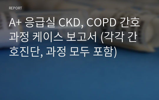 A+ 응급실 CKD, COPD 간호과정 케이스 보고서 (각각 간호진단, 과정 모두 포함)