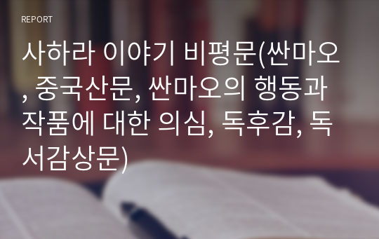 사하라 이야기 비평문(싼마오, 중국산문, 싼마오의 행동과 작품에 대한 의심, 독후감, 독서감상문)