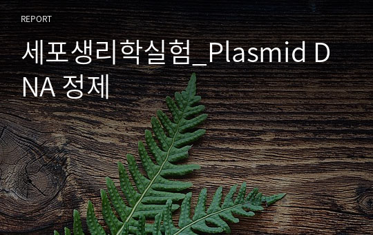 세포생리학실험_Plasmid DNA 정제