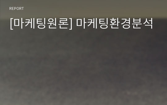 [마케팅원론] 마케팅환경분석