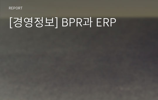 [경영정보] BPR과 ERP