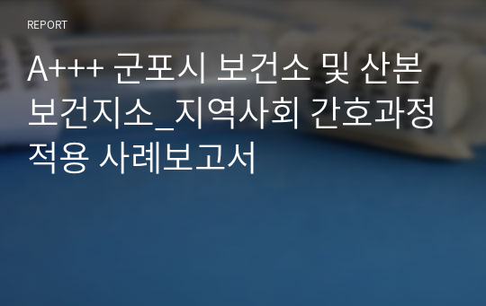 A+++ 군포시 보건소 및 산본보건지소_지역사회 간호과정 적용 사례보고서