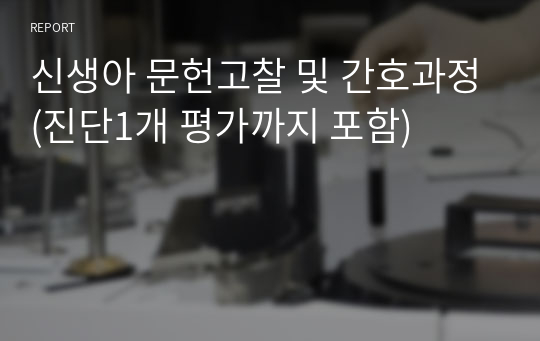 신생아 문헌고찰 및 간호과정(진단1개 평가까지 포함)